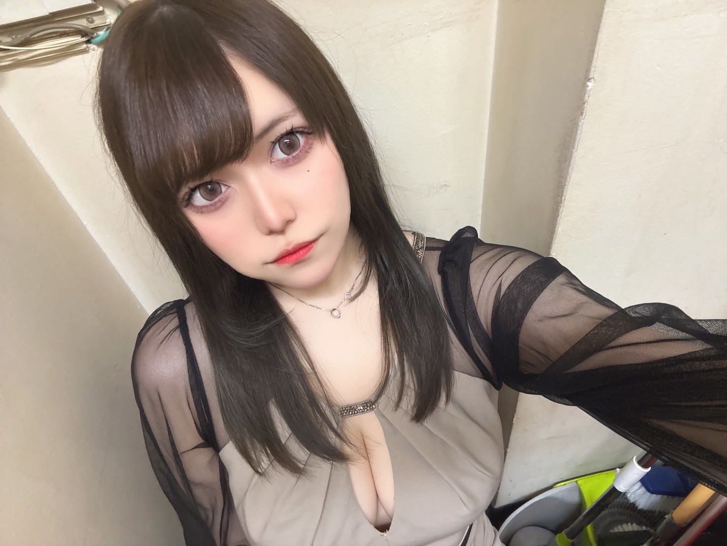 あさり